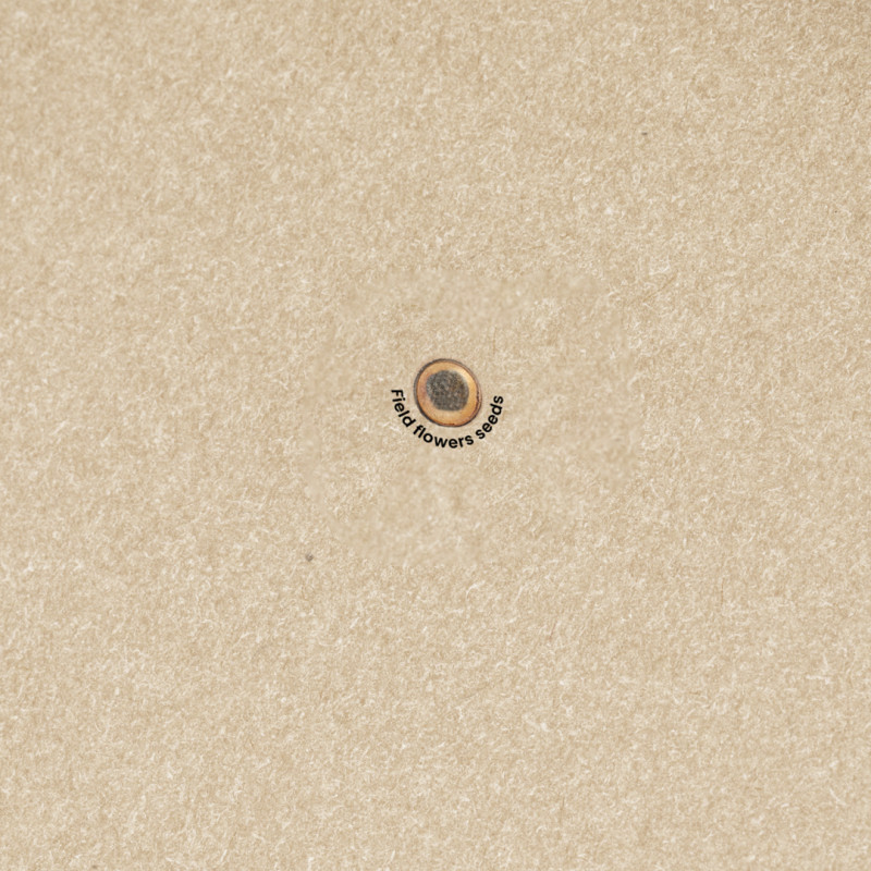 Bloc Notas Semillas Baupres