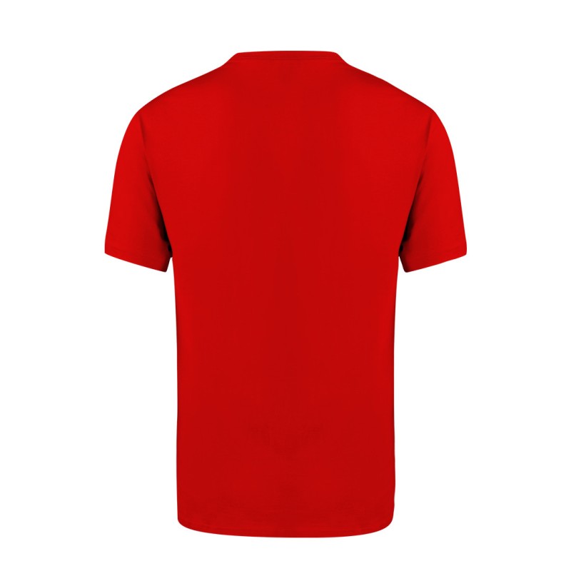 Camiseta Adulto Helixa