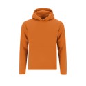 Sudadera Niño Draco