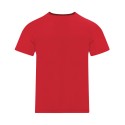 Camiseta Niño Cocker