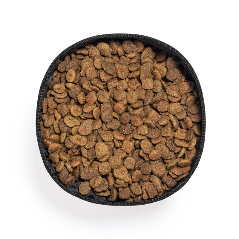 Bowl Plegable Saluki