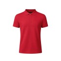 Polo Bartel Color