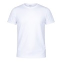 Camiseta Adulto Krusly