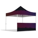 Carpa 3x3M + mostrador