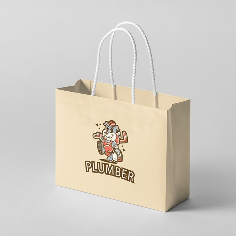 Bolsa de Papel (18x8x20cm)